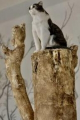 Agnès Varda sculpture de son chat.jpg