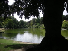 parc Montsouris lac.2 jpg.jpg